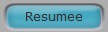 Resumee